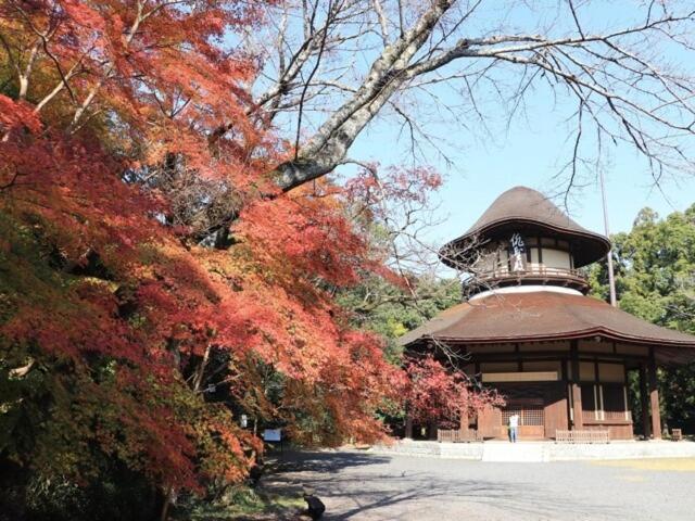 浅草圈4层独栋别墅 免费停车场 近车站 可直达机场 Lägenhet *