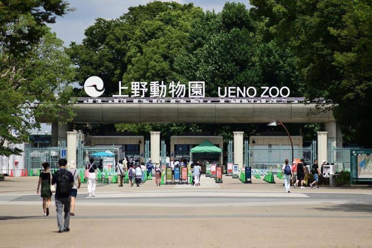 Lägenhet 浅草圈4层独栋别墅 免费停车场 近车站 可直达机场 *