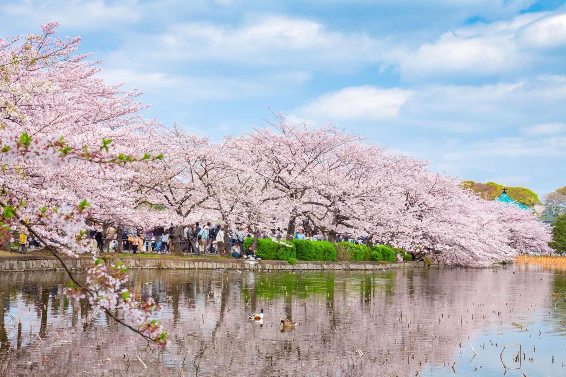 浅草圈4层独栋别墅 免费停车场 近车站 可直达机场 Tokyo prefektur